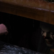 Image for article titled It Is a Great Movie That's Much, Much More Than Just a Horror Flick
